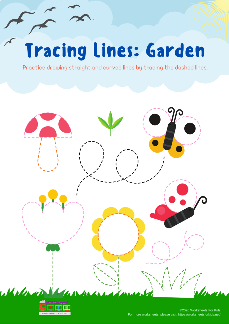 31 Tracing Lines Garden